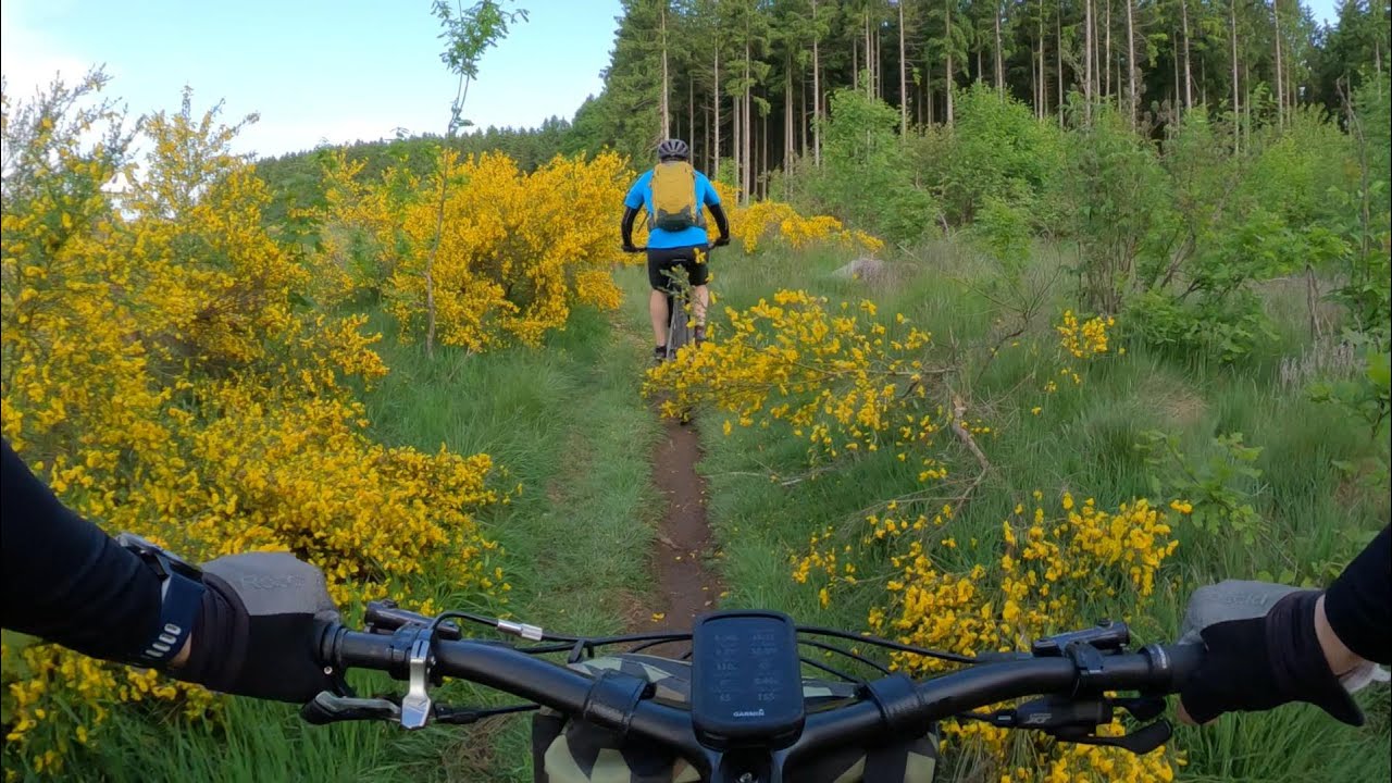 Stoneman Arduenna 2025