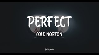 PERFECT - COLE NORTON (LYRICS) 🎵