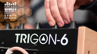 Sequential Trigon 6 Demo | Chicago Synth Exchange