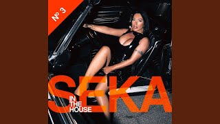 Chivas - Seka Aleksic