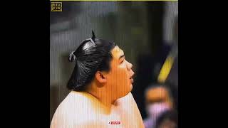 Why are sumo wrestlers so fat? 🤼‍♀️||#facts|#shortsfeed|#shorts|#capcut|| #pullingfaces