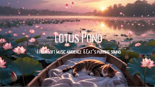 Cozy Lotus Pond Ambience | Cat Sleeping in a Boat 🐱 | Relaxing Lo-Fi Music for Sleep & Study screenshot 5