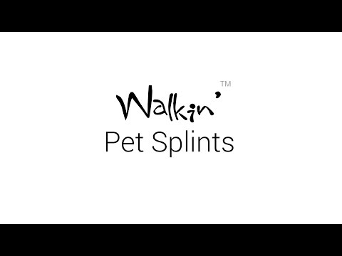 Walkin' Pet Splints for Dogs and Cats - Overview