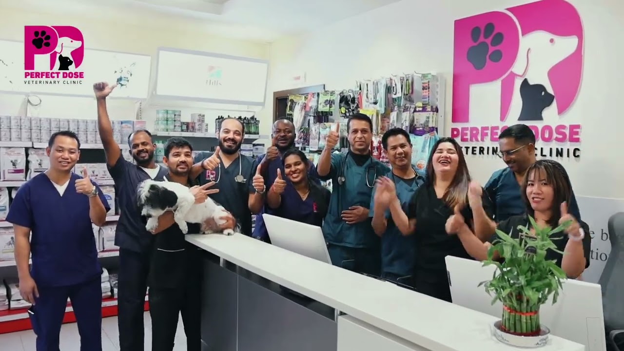 Perfect Dose Offers - FOR DECEMBER