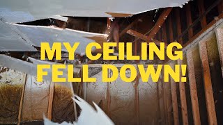 Renovating my 1970's fixer upper is off to a rocky start!!! - Episode 1 #that70sreno