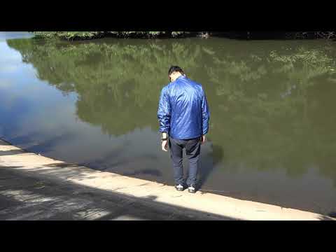 動画１　ため池に落ちる様子  Accidental immersion in the pond