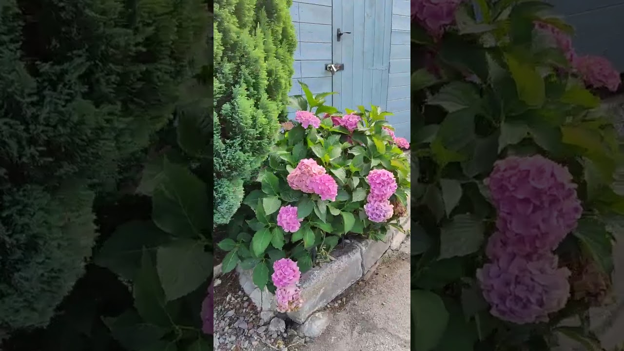 Goitstock Waterfall A two mile stroll through the Goitstock Woods will lead to spectacular waterfall