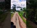 #shorts #reels #viral #trending #tiktok #shrotvdieos #subscribe #foryou #bride