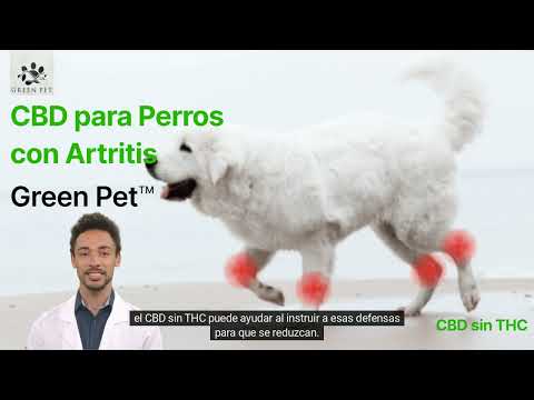 Video: ¿Su perro tiene artritis?