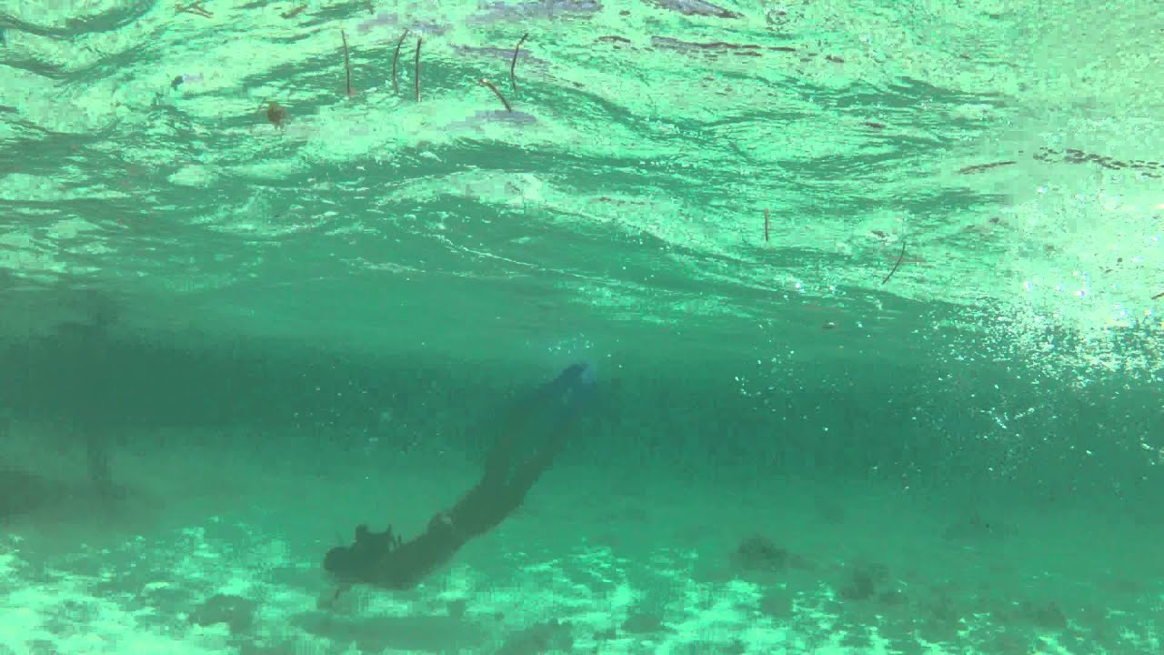 Snorkeling in the San Blas Islands Guna Yala Panama GOPR0045 - YouTube