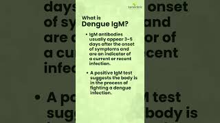 Dengue Igm Test