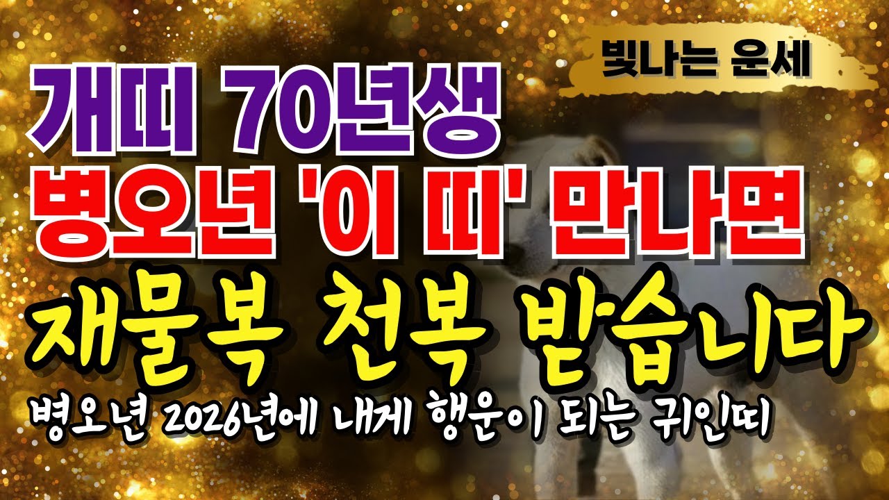 개띠운세70년생🔥2026년 신년운세💰병오년 귀인띠 '3가지'🎉1970년생 개띠와 궁합이 잘 맞는 띠☺피해야할 띠 3가지 병오년 ...