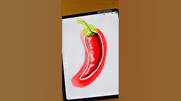 Simple Chili Pepper 🌶️ #procreate #shorts #art #watercolor