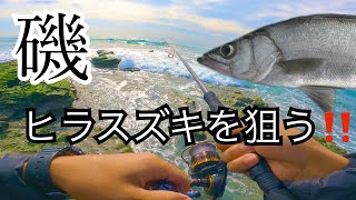 磯でヒラスズキを狙う!プチボンバー70ss