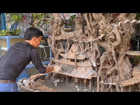Video Phối ghép tiểu cảnh nhà cổ cho cây si già - youtube