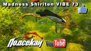 Madness Shirite VIBE 73