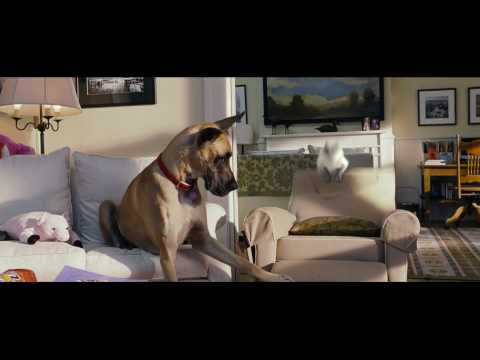 Marmaduke - In Theaters June 4! | Official Trailer (HD)  | 20th Century FOX