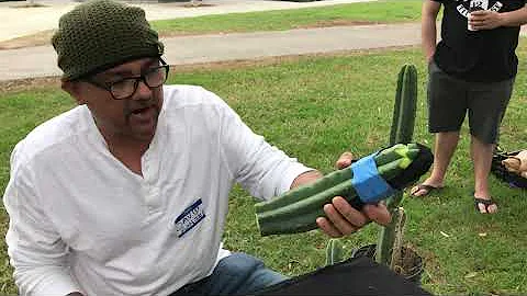 David Gonzales Grafting Tutorial from the Master