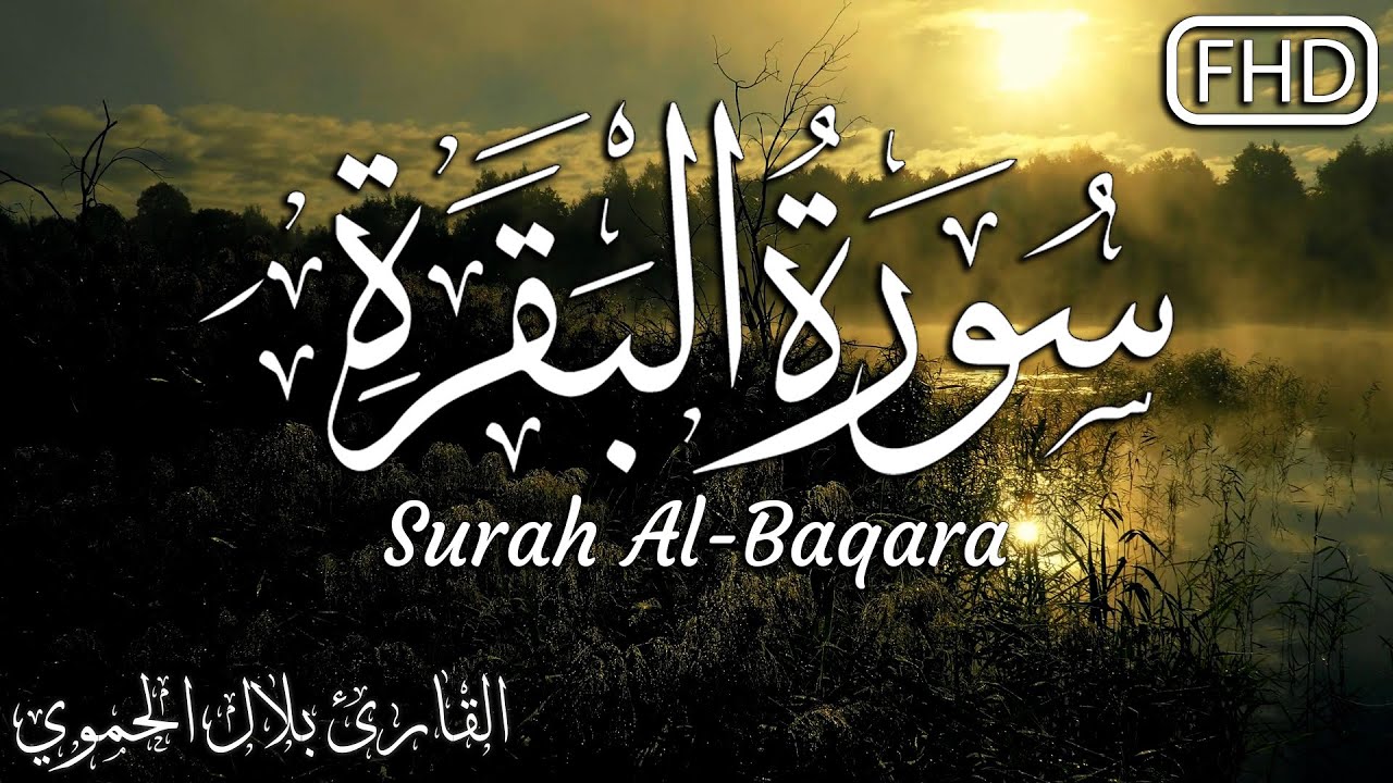 سورة البقرة كاملة تلاوة هادئة تريح الاعصاب💚القارئ بلال الحموي || surah al baqarah