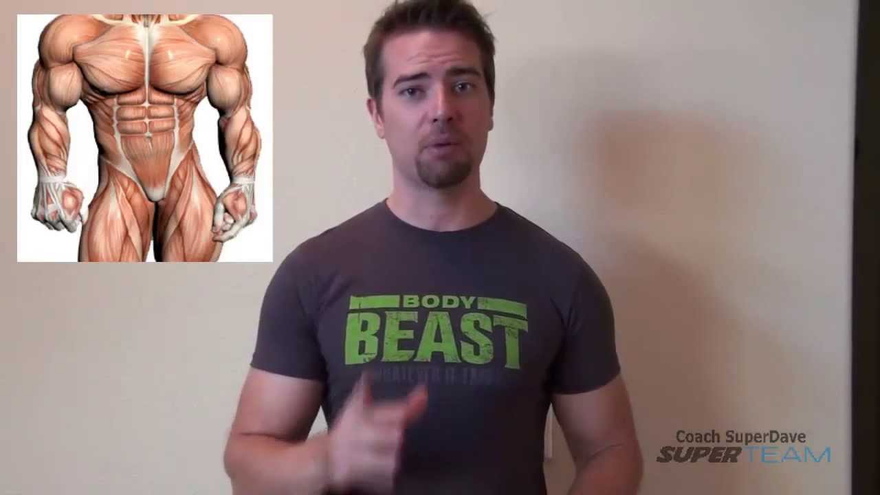 X Beast Hybrid Schedule- Body Beast & P90X To Gain Muscle - Youtube