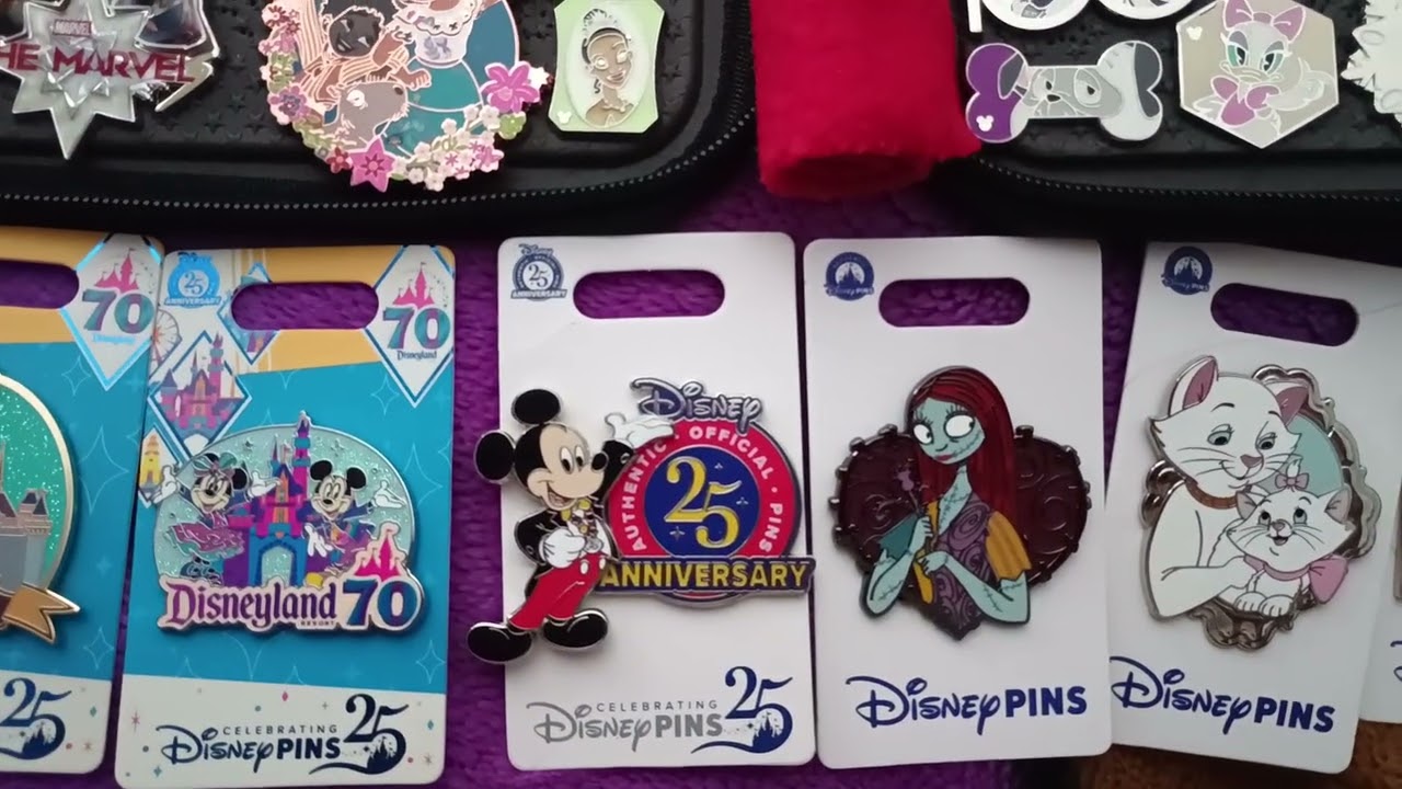 Disney pin trading that I got at Disneyland and other Disney pins too