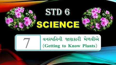 STD 6 SCIENCE CH 7 || Getting to know plants