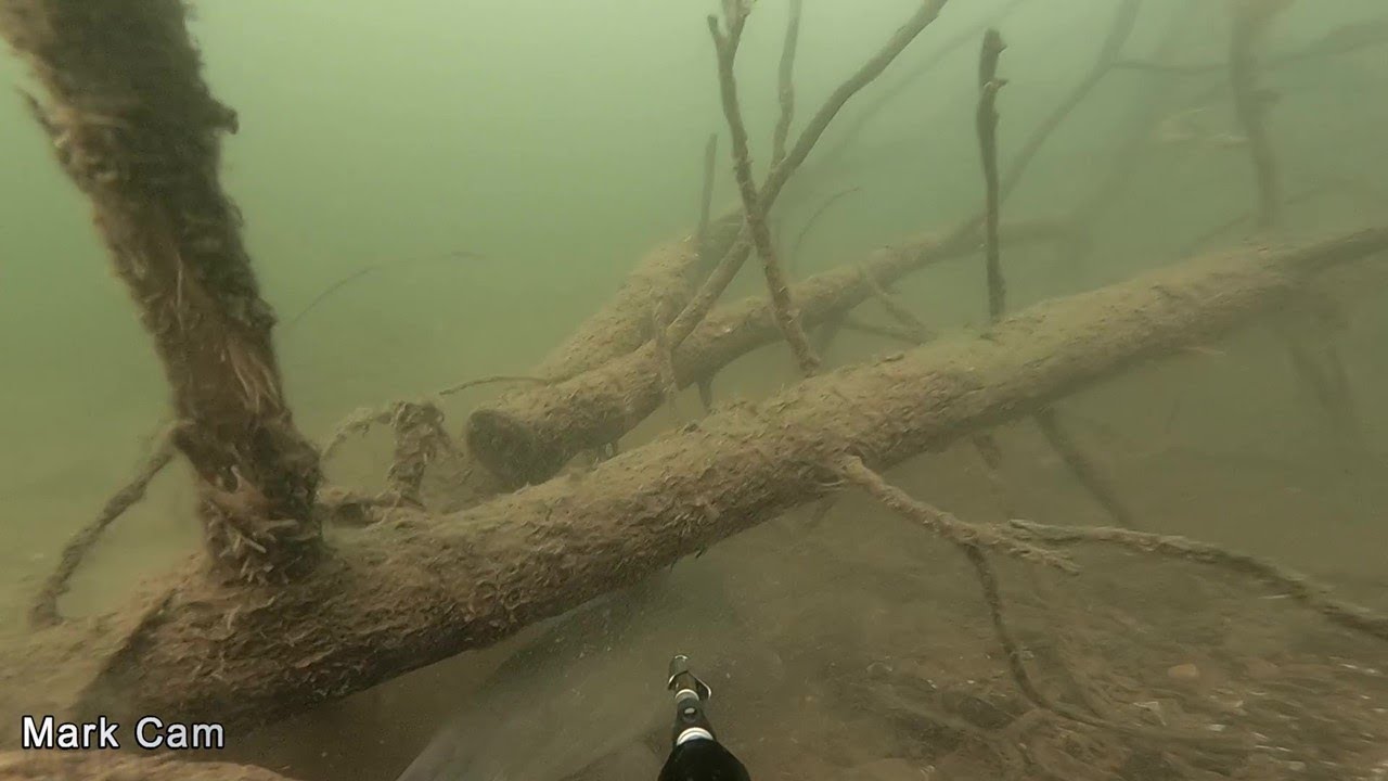 Catfish Hunting and finding a fishing pole Spearfishing Diving Lake Ouachita, Arkansas YouTube