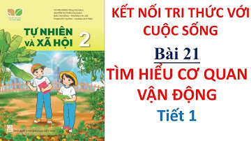 Tự nhiên xã hội lớp 2 - Bài 21 Tìm hiểu cơ quan vận động Tiết 1 | Cô Bình | 10 Phút Học Bài