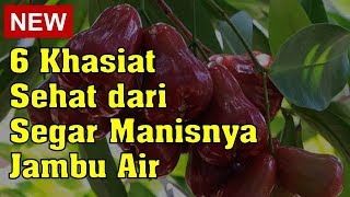 6 Khasiat Sehat dari Segar Manisnya Jambu Air