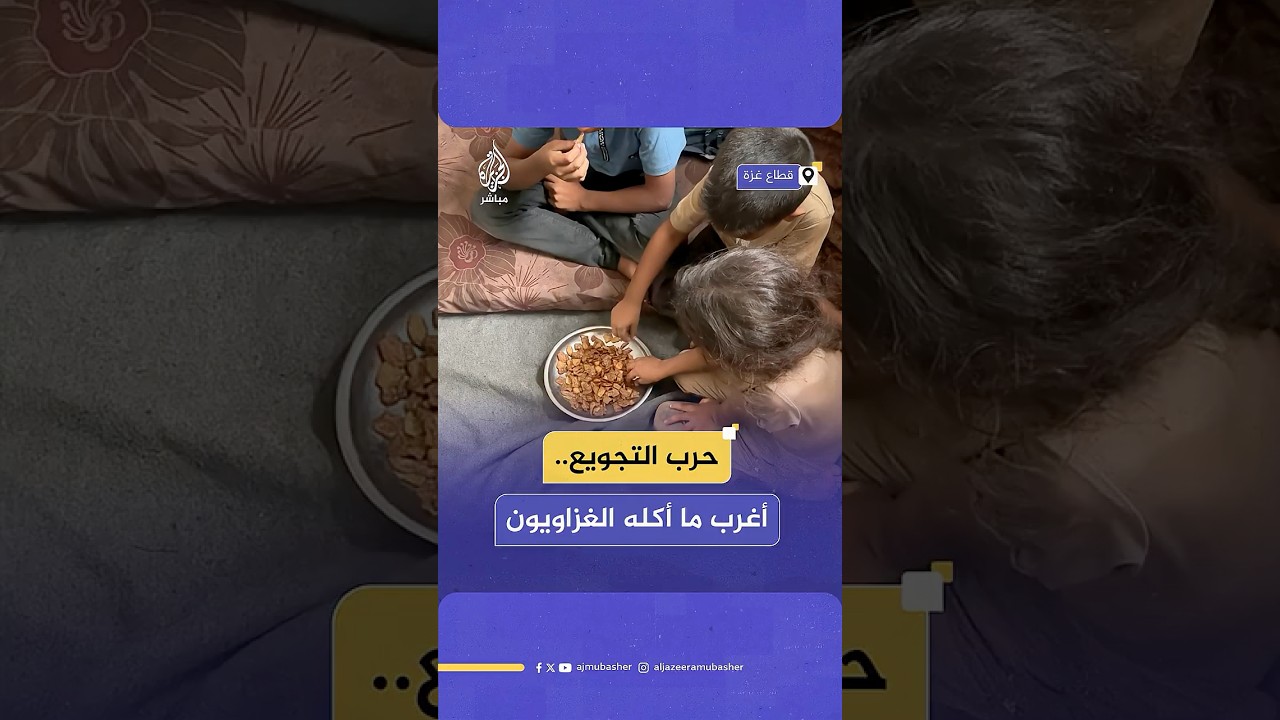 شهادات صادمة لغزاويين عن أغرب الأكلات التي أجبرتهم الحرب على تناولها