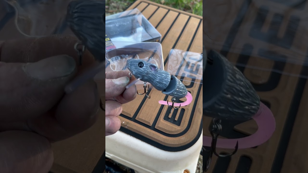 Mike Bucca Baby Bullrat big baits  and bigger fish