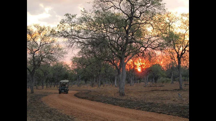 Africa 2009 by Heather Lemieux
