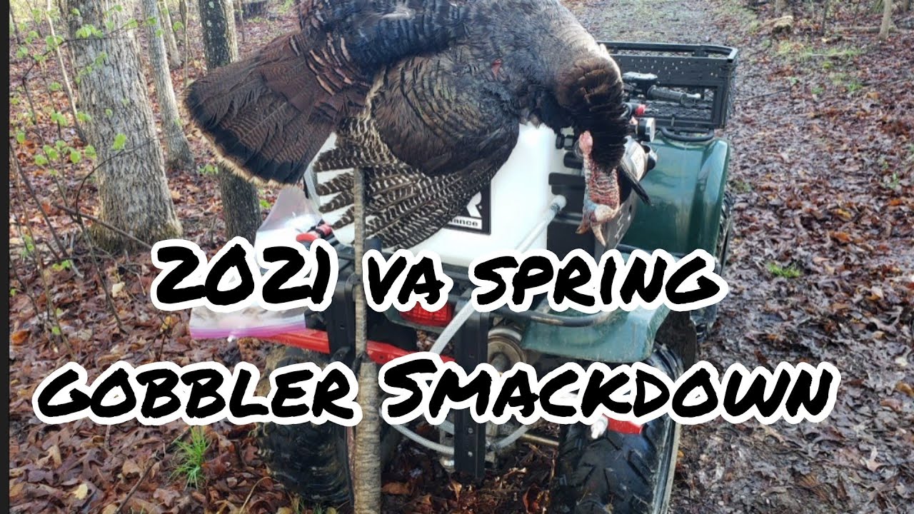 2021 Virginia Spring Turkey Opening Weekend Success YouTube