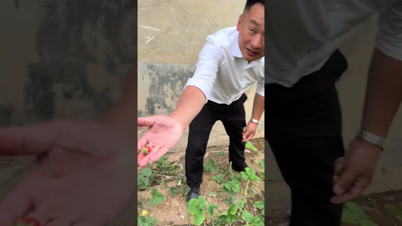 今天刚从外地回来，去找婆婆吃饺子，婆婆说你能吃肚里去不，结果……#农村生活 #我的农村生活 #新农人计划2025 #乡村美食