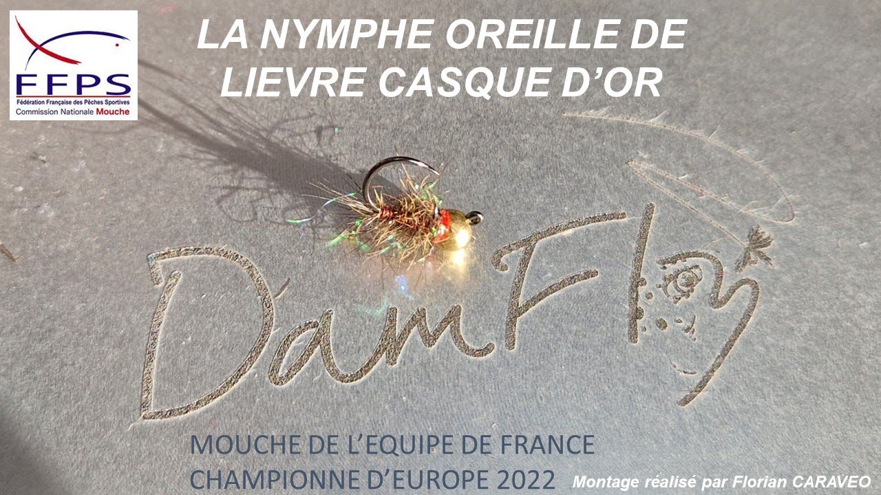 Nymphe Oreille de Lièvre casque d'or avec tag