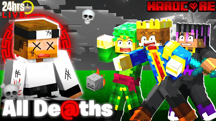 All De@ths In 24hrs Minecraft Hardcore Stream💀 | MinevidZ