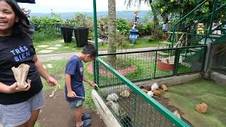 Zoori Zoo Tatay 01Jun2025