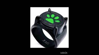 Making Miraculous Craft Cat Noir Ring