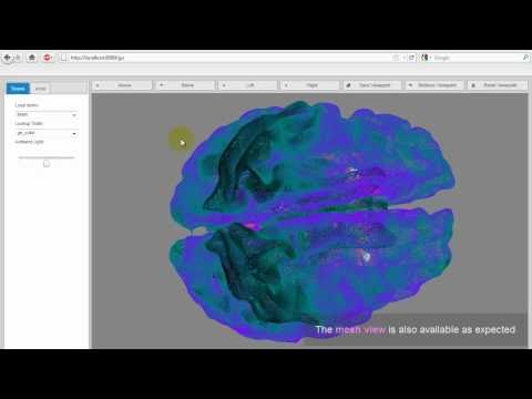 Voxelent - Pervasive Medical Imaging Platform