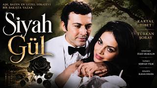 Siyah Gül Türk Filmi Full Türkan Şoray Kartal Ti̇bet Resimi