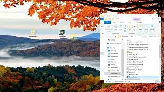 Instructions for installing Mod Oh my God! Demon Satan - Haul and Hustle