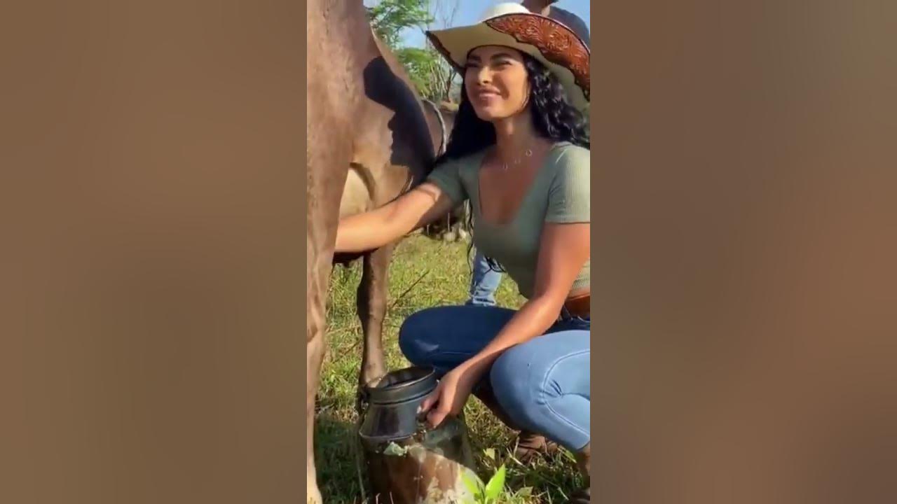 Hasta cuando se puede hacer barbacoa en el campo 2023