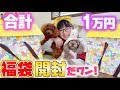 2つで合計1万円！犬の福袋開封して中身紹介♪♪大当たりも!【ペットパラダイス2019年福袋】