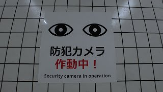 ８番出口実況プレイング　初見