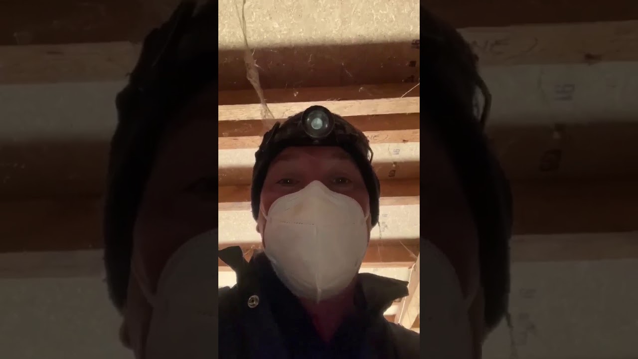 Pre Purchase Pest Inspection   Termite Control Bendigo