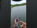 Another non fish catching day. I’m going to start setting monthly goals.