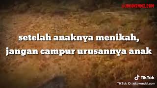 80% cerai karna campur tangan orang tua..