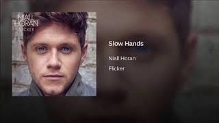 Slow Hands - Niall Horan [Lyrics]