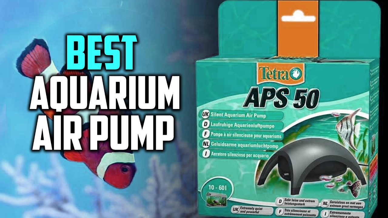 Top 5 Best Aquarium Air Pumps Reviews 2023 See This Before You Buy