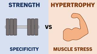 Differences Between Strength vs Hypertrophy Training